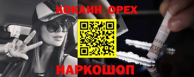 мдпв Гатчина