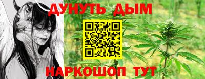 мдпв Гатчина