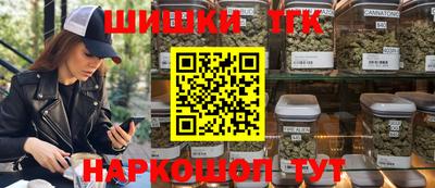 мдпв Гатчина
