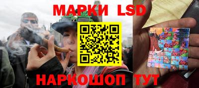 мдпв Гатчина