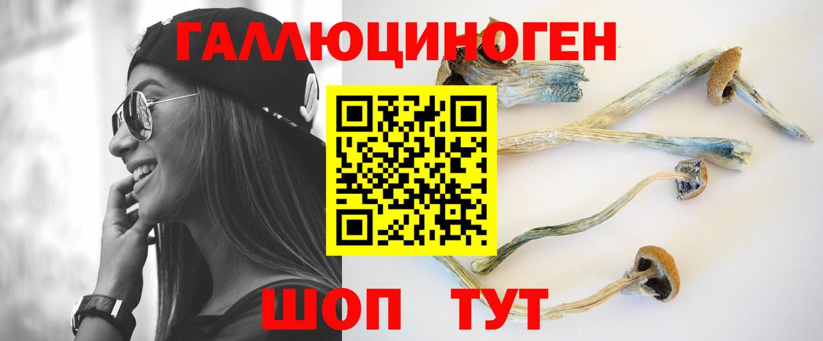 Псилоцибиновые грибы мухоморы Вязьма