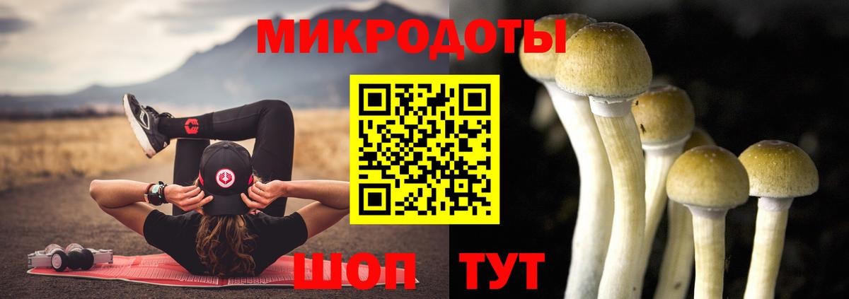 Галлюциногенные грибы Psilocybine cubensis  Вход с VPN  Вязьма  Галлюциногенные грибы мухоморы 